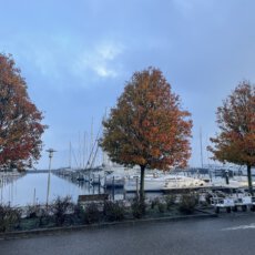 Herfst in en zeilen vanuit Bruinisse