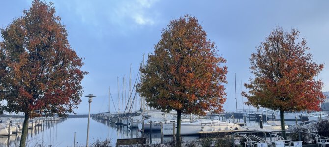 Herfst in en zeilen vanuit Bruinisse